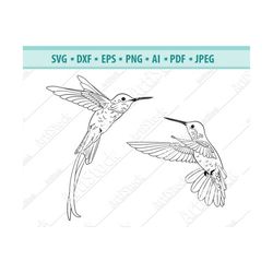 Hummingbird SVG file, Hummingbirds svg, Flying birds svg, Hummingbird Silhouette cut file, Hummingbird clip art, commerc