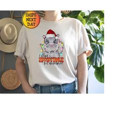 i want a hippopotamus for christmas shirt, christmas lovers gift, christmas hippopotamus shirt, christmas sweatshirt, ha