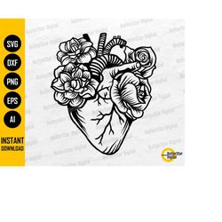 floral anatomical heart svg | cardiology svg | love tattoo decals t-shirt design | cricut silhouette clip art vector dig