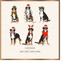 Christmas Swiss Mountain Dogs svg, Christmas svg, Files for Cricut, silhouette, PNG Sublimation, Instant Download