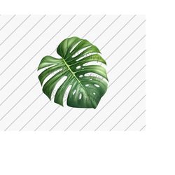 Monstera leaf png, Tropical Leaves, Summer png, Tropical png, Vacation Shirt png, Sublimation Designs