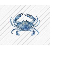 Blue Crab png, Clip art png, Ocean Lover, Crab Shirt, Summer png, Sublimation Designs Downloads, Beach Shirt png