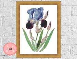 Flower Cross Stitch Pattern ,Iris 2, Pdf ,Instant Download , Botanical X Stitch Chart,Purple
