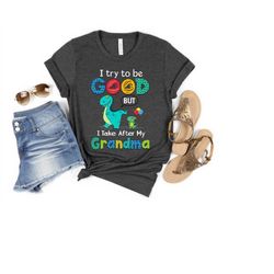 Cute Disney Family Dinosaurs Shirt, Mom and Kid Dinosaours Kids Tee, I Try To Be Good Dino But I Take After My Grandma T