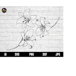 Lily Flower Svg, Flower Cut File, Flower Clipart, Lilly Flower Clipart, Svg files for Cricut, Instant Download, Svg, Png