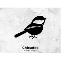 Chicadee Bird Clipart Image Digital Downloaded SVG