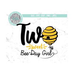 Two Sweet Bee-Day SVG PNG Cut file, 2nd Bee day Girl Svg, Bee Day 2 SVG, 2nd Bee Birthday