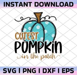 Cutest pumpkin in the patch png, Thanksgiving kids shirt png, fall pumpkin designs, sublimation cute fall shirt kids des