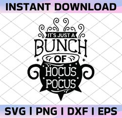 It's All A Bunch Of Hocus Pocus, Funny Halloween Svg, Hocus Pocus Svg,Cutting File, Witch's Witches Cauldron