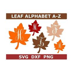 Leaf Monogram SVG/DXF/PNG, Leaf Fancy Letters Alphabet, Digital Download, Cut File, Sublimation, Clip Art, 26 svg/dxf/pn