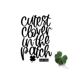 cutest clover in the patch svg, baby st patricks day svg, baby spring, baby clover svg, baby shamrock svg, hand lettered