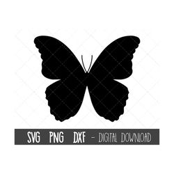 Butterfly SVG, Butterflies SVG bundle, Butterfly cut file, butterfly clipart, butterfly outline, dxf, fly cricut silhoue
