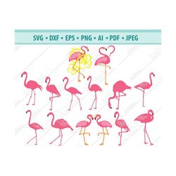 Flamingo SVG, DXF, PNG, cut files,flamingo,flamingo bird,flaming dxf,flamingo silhouette,for cricut,for cameo,instant do