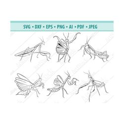 Praying Mantis Svg, Insect Svg, Green Mantis SVG, Grasshopper Svg, Green Mantis Clipart, Green Bugs Svg, Insect Cut File