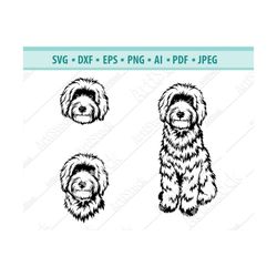 Goldendoodle SVG, Dog Silhouettes, Dogs SVG, Digital Cutting File, Fluffy dog Svg, File For Cricut, Instant Download, Dx