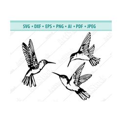 Hummingbird SVG file, Hummingbirds svg, Flying birds svg, Hummingbird Silhouette cut file, Hummingbird clip art, commerc
