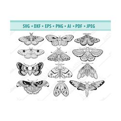 Moth svg Bundle, Celestial clipart, Star svg, Files for cricut, Insect Svg, Magic moth Svg, Boho insects Svg, Mystical c