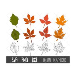 Fall leaves SVG, autumn leaves svg clipart, leaves clipart bundle, leaves svg files, fall leaf cut file, leaf cricut sil