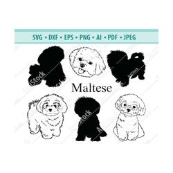 Maltese SVG, Maltese Silhouettes, Maltese, Dog Breeds SVG, Digital Cutting File, Vector, Cricut Cut, Instant Download, D