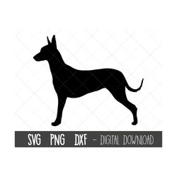Mexican Hairless svg, dog svg, Xoloitzcuintle silhouette svg, mexican hairless outline png clipart, dog pet png, cricut