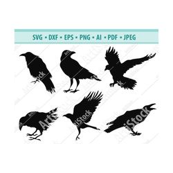 Raven svg - Raven clip art - Raven cut file - Raven silhouette - Crow svg - Crow cut file - Bird svg - Cricut cut files