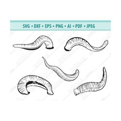 Leech SVG file, Leechs Svg, Medical leech Svg, Leech silhouette, Insects clipart, Worm Png, Insect Svg File, vector eps,