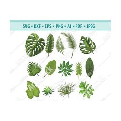 Hand drawn Palm leaves SVG, Leaves SVG, Palm leaves cut files, Palm leaf svg, tropical leaves, Leaf svg, Cricut cut file