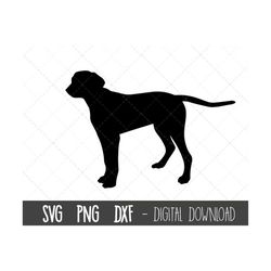 Coonhound svg, dog svg, Coonhound silhouette, Coonhound outline png, Coonhound clipart, dog pet png, dxf, cricut silhoue