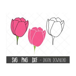 Tulip SVG, Spring flower SVG, flower svg, flower clipart, spring clipart, floral svg, floral clipart, tulip cricut silho