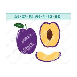 Plum SVG, Fresh Fruit Svg, Plum Fruit Svg, Plum slice Svg, Plum cut file, Summer Svg, Files for cricut, Plum lime Svg, E