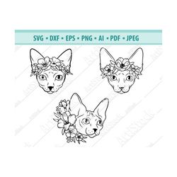 Sphynx Cat SVG, Sphynx Cat with Flower Crown Svg, Sphynx portrait Svg, Cute floral cat, Cat Clipart, Floral Sphynx Svg,