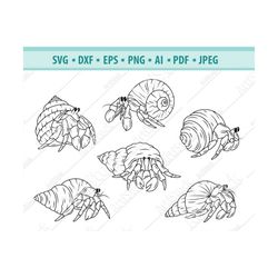 Hermit crab Svg, Crustaceous Svg, Beach Svg, Shell Fish clipart, Sea Animals Svg, Ocean Svg, Files for Cricut, Vector, D