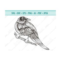 Raven SVG, Crow Zentangle Svg, Raven Clipart, Raven Files for Cricut, Raven Cut Files For Silhouette, Raven Dxf, Raven P