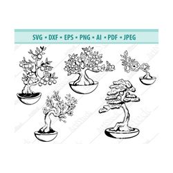 Bonsai tree SVG, Evergreen svg, Bonsai clipart, Bonsai silhouette Svg, Bonsai design, Svg file for cricut, bonsai cut fi