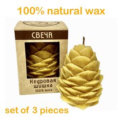 Wax candle - cedar cone made from natural wax. Eco friendly, gift from Siberia