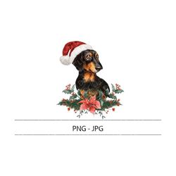 Christmas dachshund png/jpg. Christmas dog clipart png, dog bandana png, dachshund sublimation, santa paws png, Puppy pn