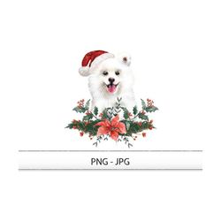 Christmas Samoyed Png/jpg. Christmas Dog Clipart Png, Dog Bandana Png, Samoyed Sublimation, Santa Paws Png, Puppy Png, S
