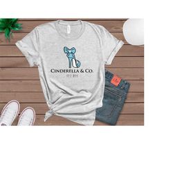 Cinderella Lover Tshirt, Cute Disney Shirts, Cinderella And Co Shirt, Disneyland Family Shirts, Disney Vacation Tee, Dis