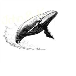 Right whale Svg, Alaska state mammal vector, Bowhead Whale lover clip art, Bowhead Whale Svg for clothes decoration, Cut