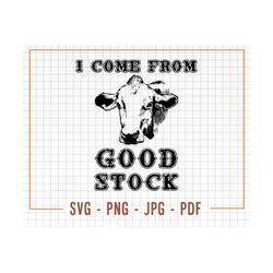 I Come From Good Stock Design Svg Png, Western Children's Tshirt Design, Kids Cowboy Good Stock Svg, Cattle Cow Svg, Dig