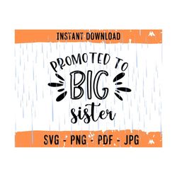 Promoted to Big Sister SVG - Sister Life PNG - Sister T-shirt Design - Digital Download - Cricut - Silhouette Cut File -