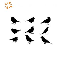 Sparrow SVG Bundle, Svg Files for Cricut, Bird Svg, Bird Clipart, Silhouette Svg, Sparrow Clipart, Bird Watcher PNG, Spa