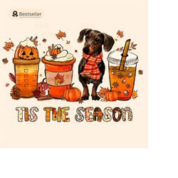 tis the season PNG football latte leaves Dachshund dog Hello Pumpkin Fall Y All Vibes coffee Love Thanksgiving Family Su