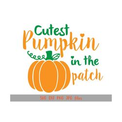 cutest pumpkin in the patch svg, baby halloween svg, fall svg, newborn baby svg, pumpkin svg, halloween cut files, baby