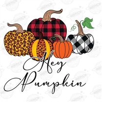 Vintage Hey Pumpkin PNG, Retro Fall, Leopard Fall Pumpkin PNG, Leopard Fall Png, Vintage Leopard Pumpkin PNG, Fall Subli