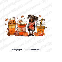 Dachshund Coffee Halloween design png/ coffee halloween png/Corgi love coffee png/ latte halloween png/ pumpkin spice pn