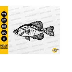 crappie fish svg | panfish fishing svg | angling svg | fish decals vinyl stencil graphics | cut files clip art vector di