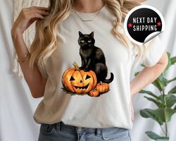 Black Cat on Pumpkin shirt, shirt for fall, Black Cat t-shirt, Halloween Black Cat Design, Fall Shirt, Halloween shirt