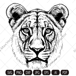 Lioness head SVG, Lioness Face svg, Lion face Svg, Wild cat Svg, Lion silhouette, Lioness portrait