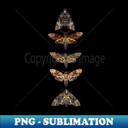 Death Head Moth - Skull Sublimation - Vibrant and Detailed Digital Art